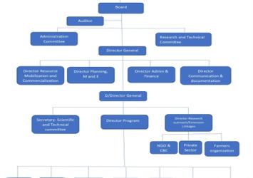 The organogram of CARI