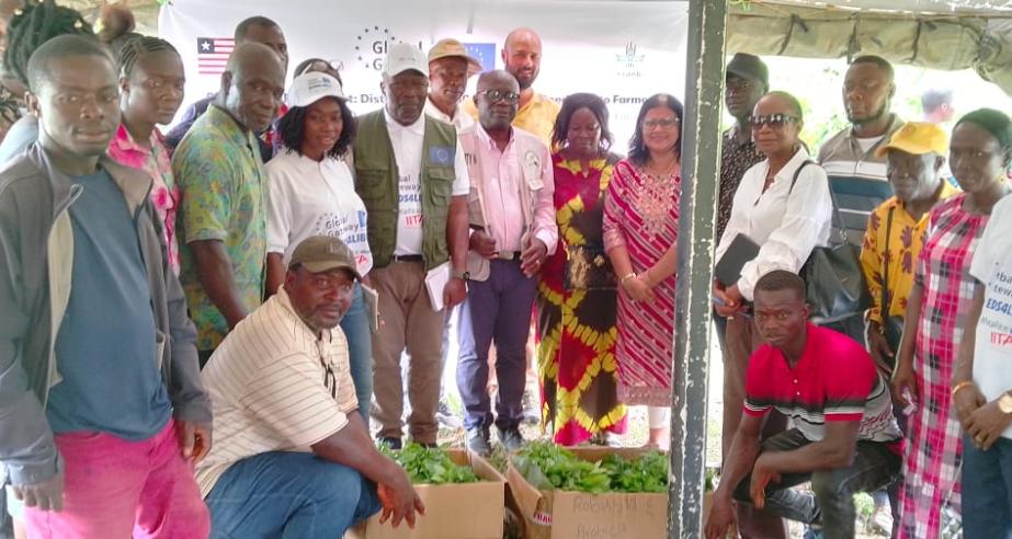 Stakeholders and farmers at the coffee seedlings distribution event at CARI