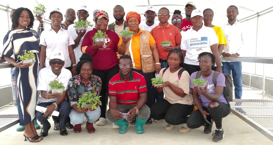 CARI, IITA Commission Revolutionary SAH Technology to Boost Cassava Production in Liberia