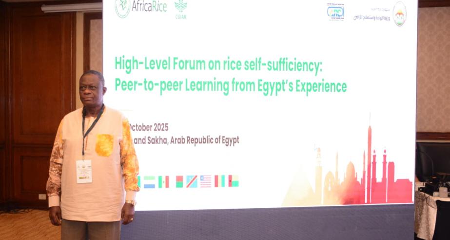 Dr. Arthur Bob. Karnuah, paticipants in the High-Level Fourm in Egypt 