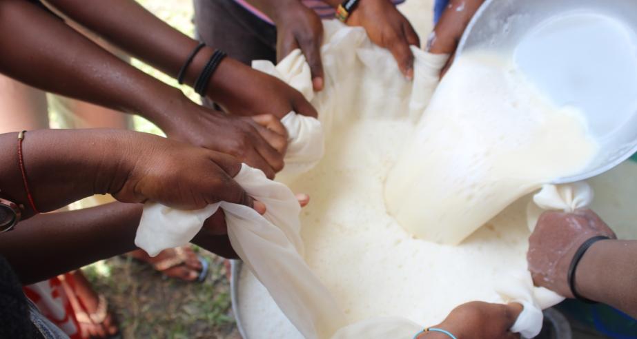 Farmers and students, working closely with the CARI nutritionist, carefully sieve freshly prepared soybean milk.