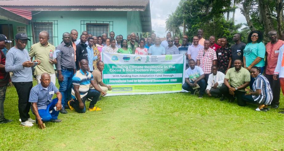 From Climate Data to Farmer Decisions: Strengthening Liberia’s Agriculture Through Crop Modelling and Agro-Met Bulletins