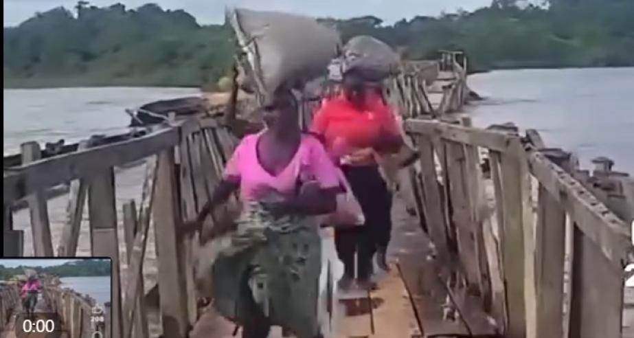 Torrenntial rains wiped away the wooden bridge over the Benson River, as floods from the Atlantic Ocean surged inland, cutting off access and endangering local farmers.