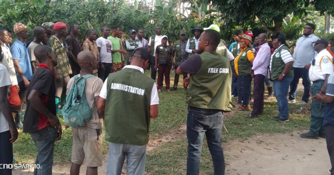 Director General Dr. Arthur Bob Karnuah and team engaging with Liberia’s National Cocoa Seed Garden in Beeplay, highlighting ongoing efforts to strengthen cocoa research and seed development.