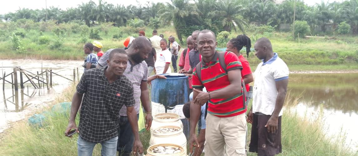 The fisheries unit harvesting several kilograms of Tilapia