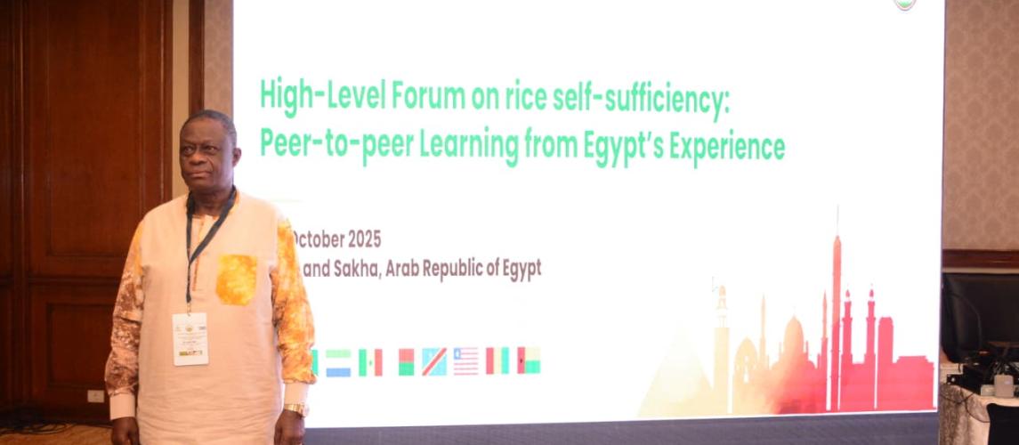 Dr. Arthur Bob. Karnuah, paticipants in the High-Level Fourm in Egypt