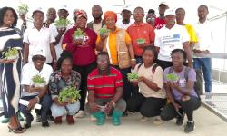 CARI, IITA Commission Revolutionary SAH Technology to Boost Cassava Production in Liberia