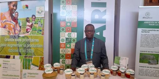 33rd Ordinary Session of the AfricaRice Council of Ministers Remains Committed to Attaining Rice Self-Sufficiency in Africa, Dr. Arthur Bob Karnuah Assures Delegates