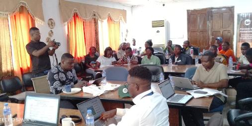 Technical staff from University of Liberia, Central Agricultural Research Institute, and the Ministry of Agriculture participating in the workshop technical session
