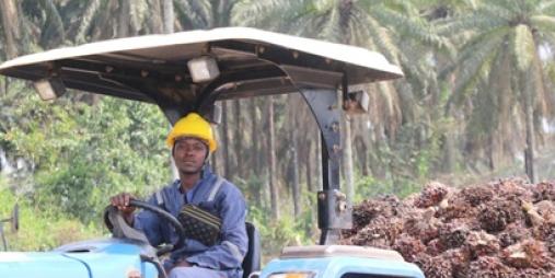 World Bank, IFAD Conclude Technical Implementation Support Mission for RETRAP and STAR-P